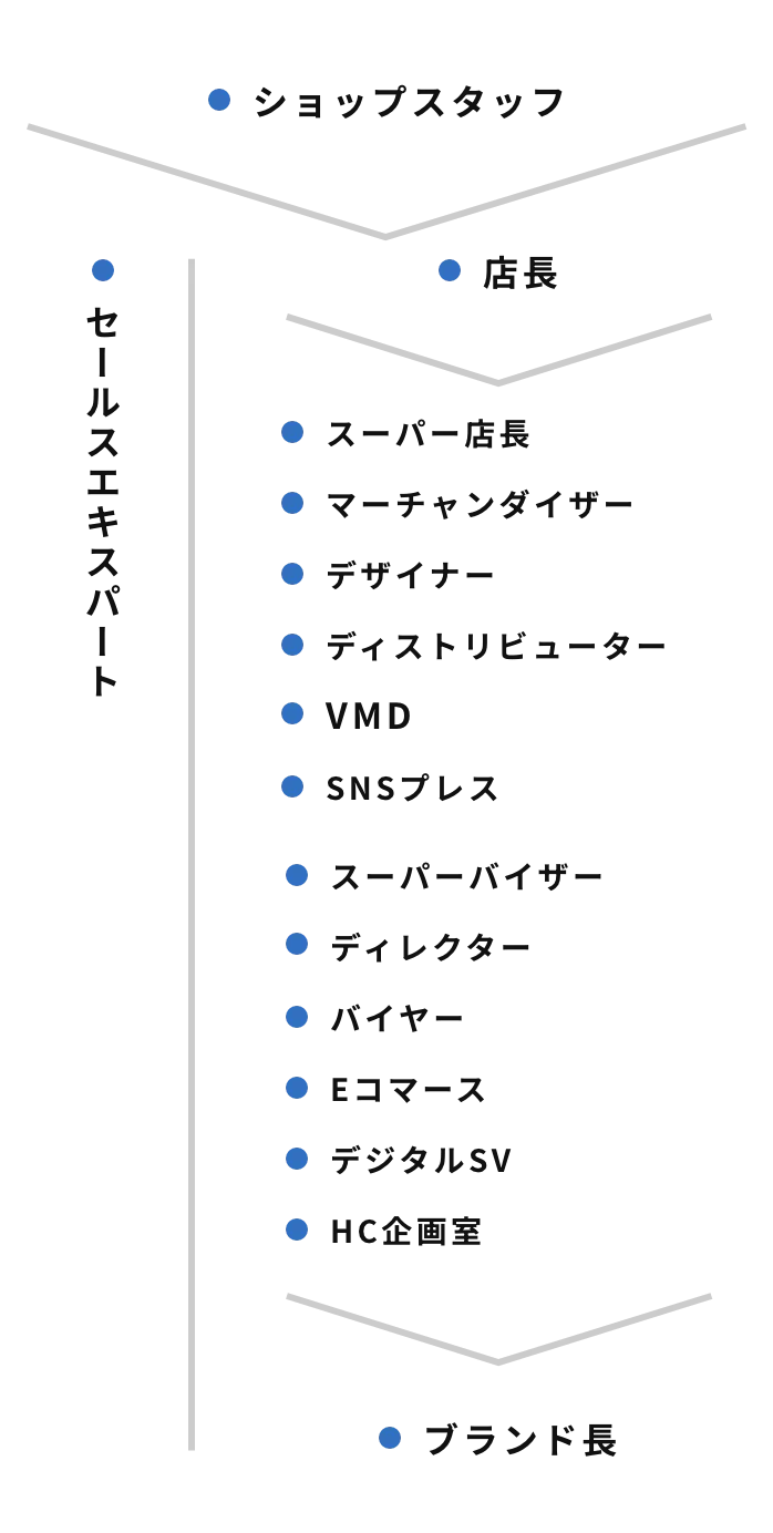 キャリアパスの一覧図